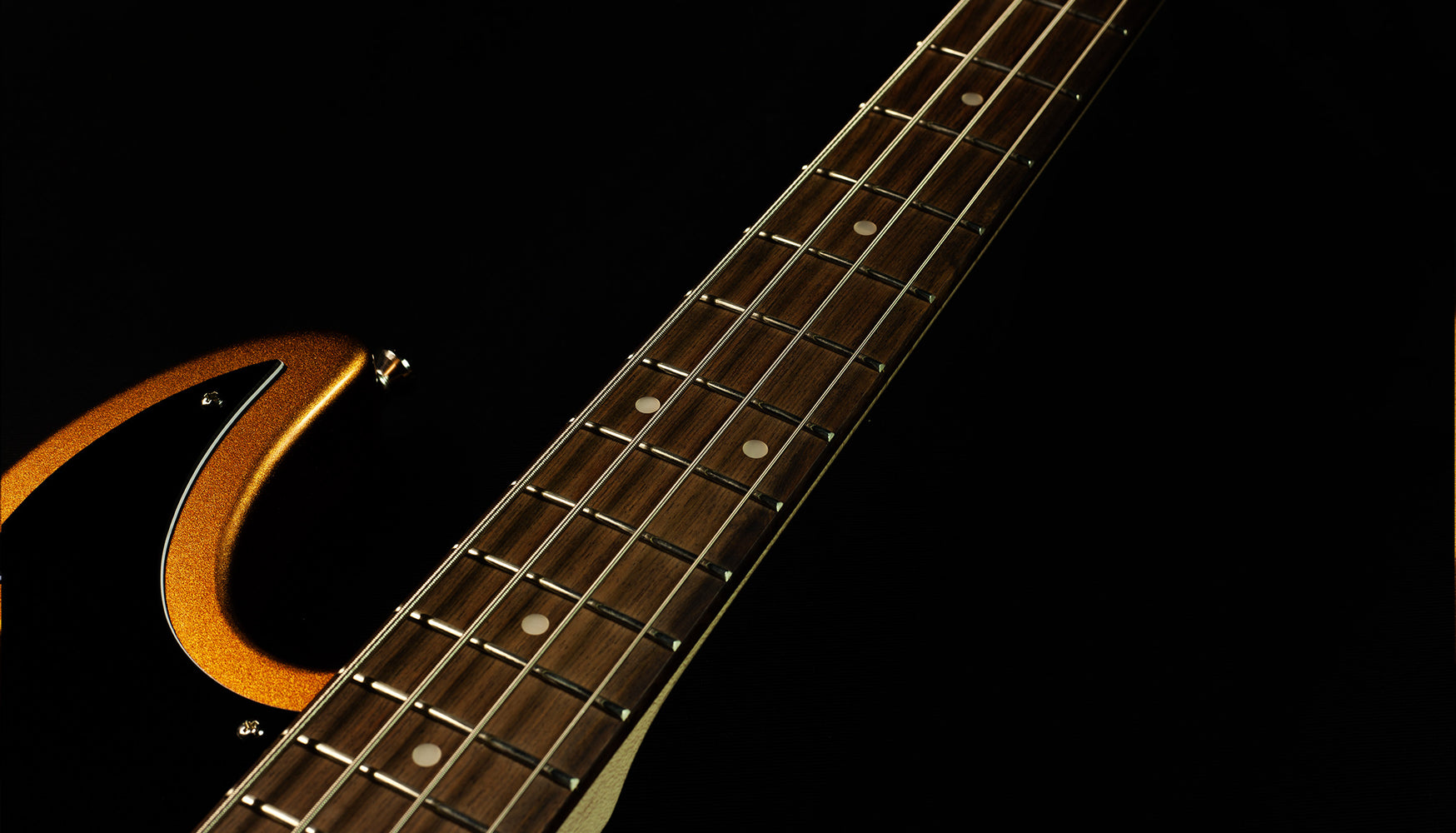 Fingerboard